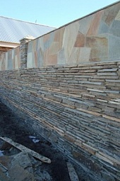 Горбушка серая 3